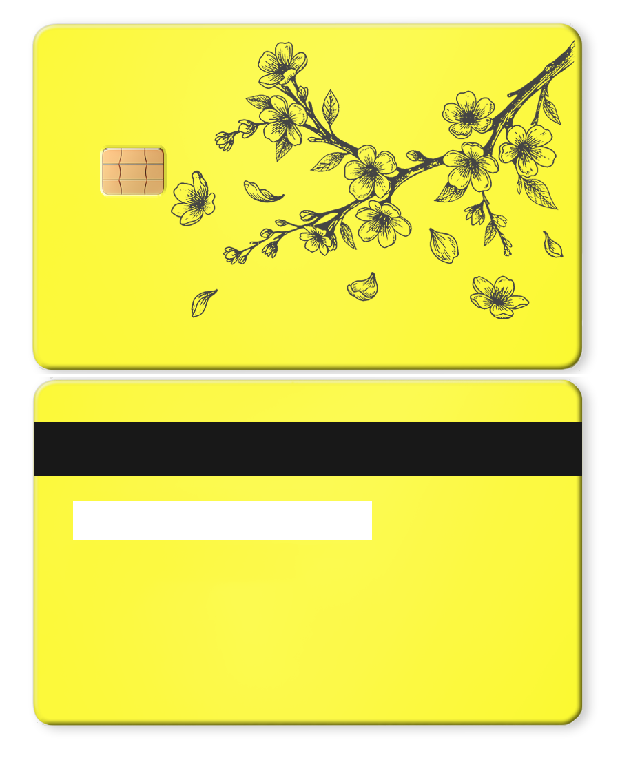 Cherry Blossoms