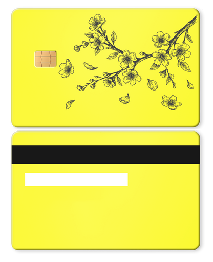 Cherry Blossoms